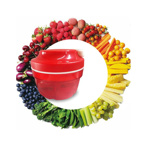 Bunte Anordnung von frischem Obst und Gemüse um einen roten manuellen Chopper und Fleischwolf.