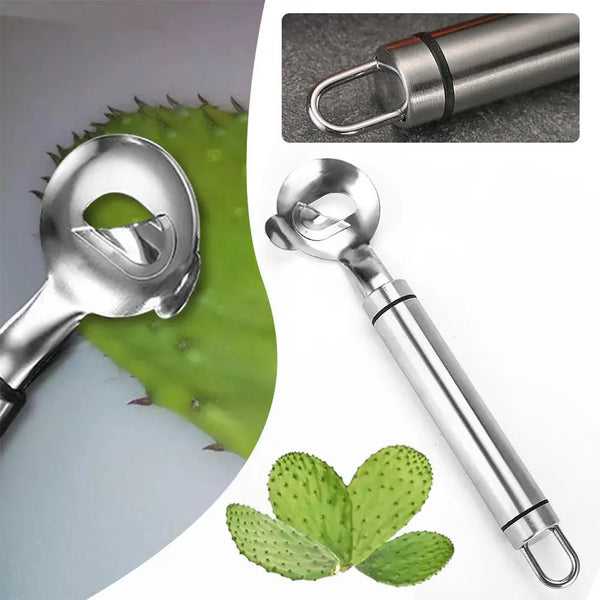 Stainless steel cactus peeler spoon with a handle and loop, shown next to a cactus.