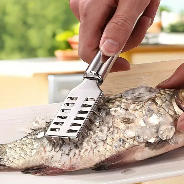 Eine Hand benutzt ein Edelstahl-Werkzeug, um die Schuppen eines Fisches zu entfernen.