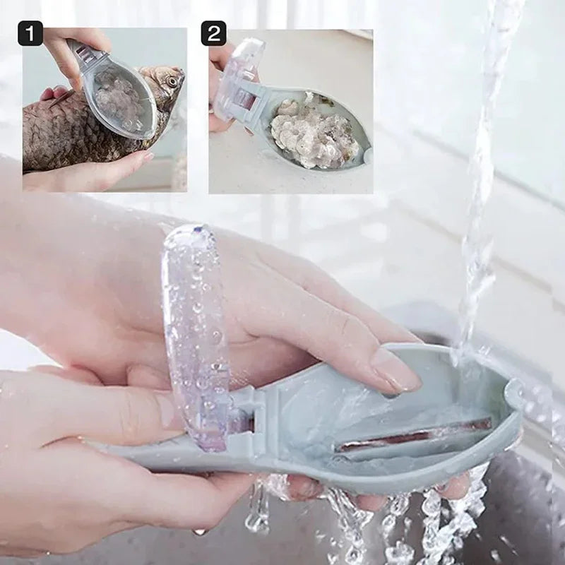 Hands are using a natural fish scale grater and scraper tool to remove scales from fish skin.