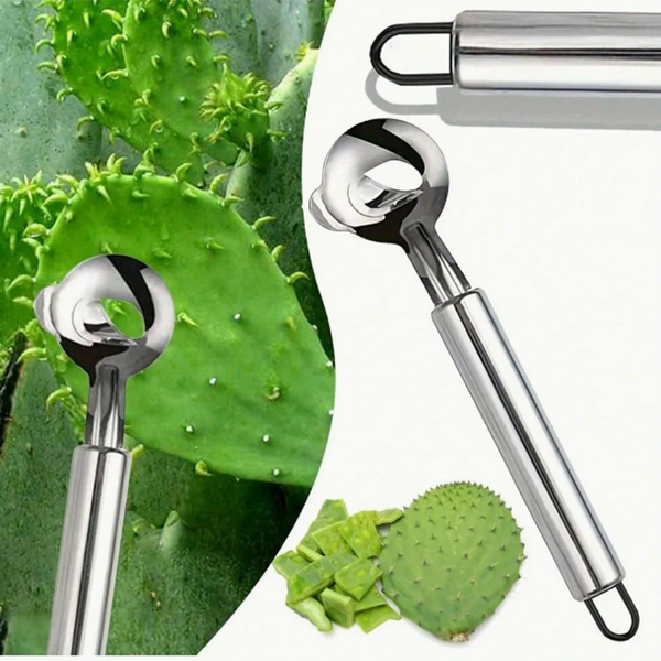 Edelstahl-Gemüsehobel mit Griff und Klinge neben einem Opuntia-Kaktus.