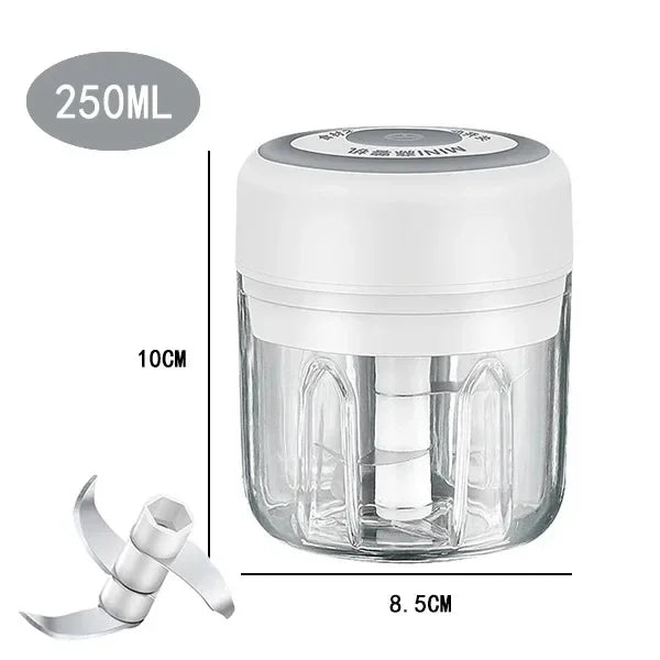 A clear plastic mini food chopper with a white lid and an attached blade attachment shown next to its dimensions.