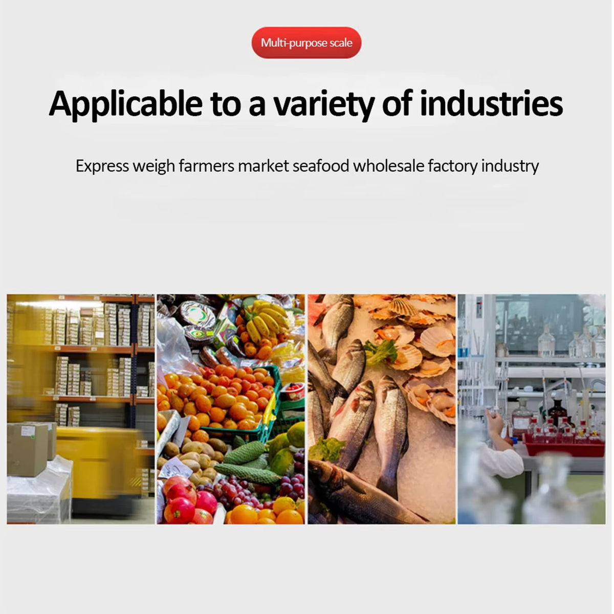 A multi-purpose scale is shown with various industries including seafood and wholesale factory contexts.