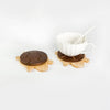 A set of solid wood turtle insulation mats and coasters with a white ceramic cup and spoon.
