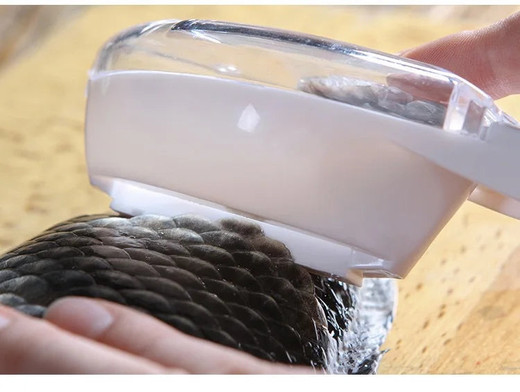 A hand is holding a clear plastic fish scale scraper and brush set against a dark, textured fish scale.