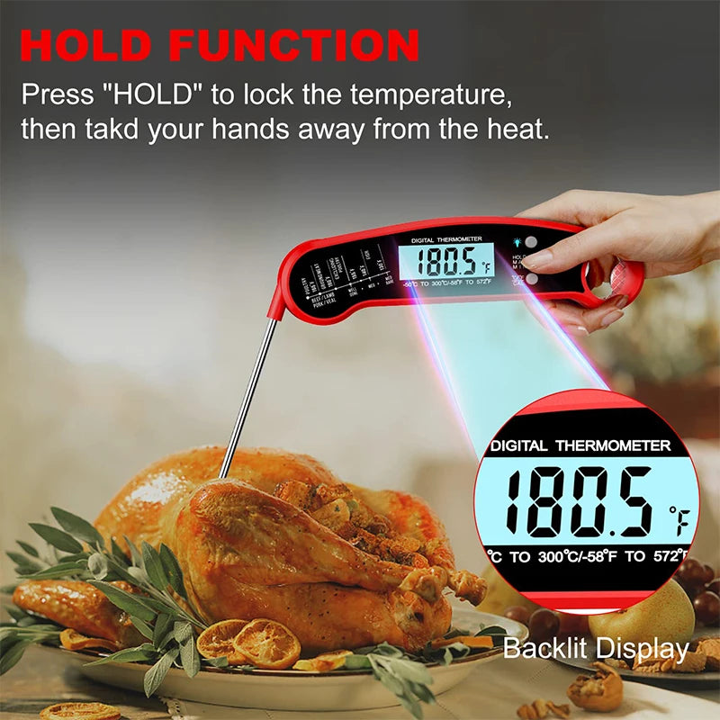A hand holds a digital thermometer measuring the internal temperature of cooked chicken on a plate.
