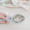A hand holds a light blue fish scale grater and scraper tool with a pile of fish scales on it.