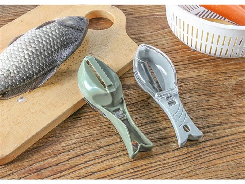 A natural fish scale grater and scraper tool is shown next to a fish and a white plastic grid.