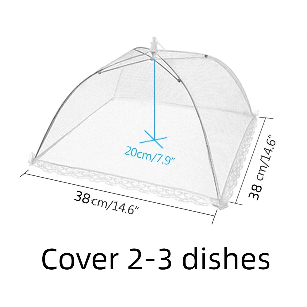 A clear mesh dome cover for protecting 2-3 dishes or plants, showing dimensions of 38 cm by 38 cm.