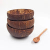 A set of three dark brown natural coconut shell serving bowls with textured surfaces and a wooden spoon.