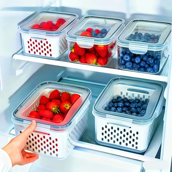 A hand is placing a sealed produce storage container filled with blueberries into a refrigerator shelf.
